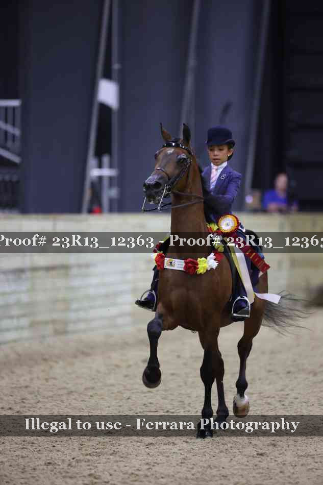 Proof Number 23R13_12363
