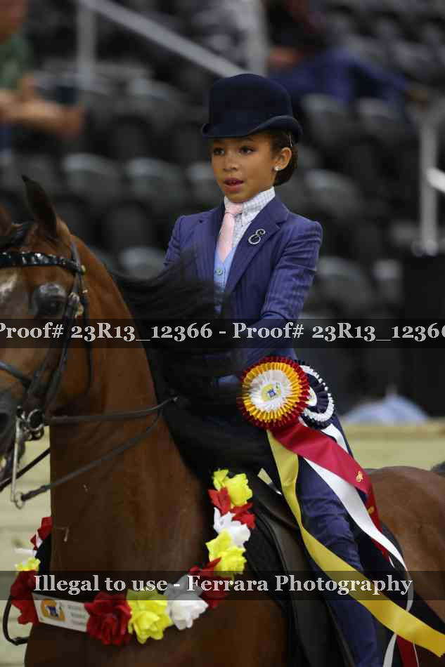 Proof Number 23R13_12366