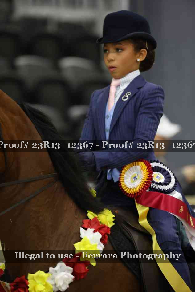 Proof Number 23R13_12367