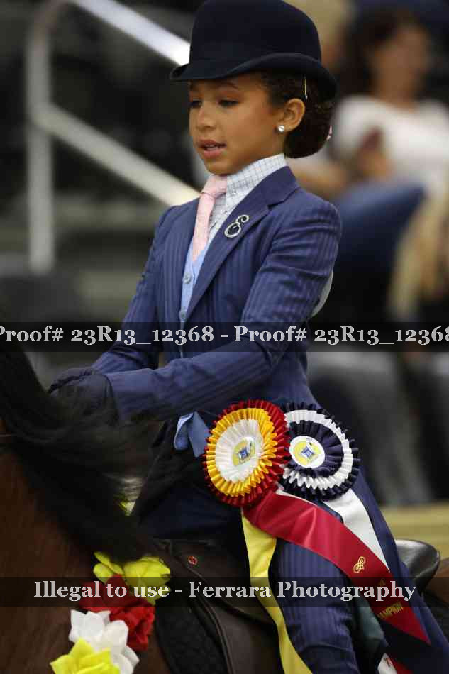 Proof Number 23R13_12368