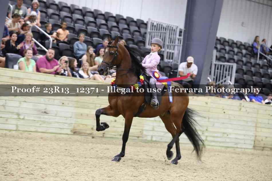 Proof Number 23R13_12371