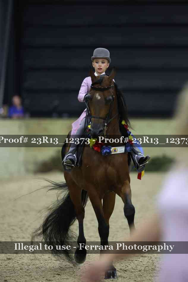 Proof Number 23R13_12373