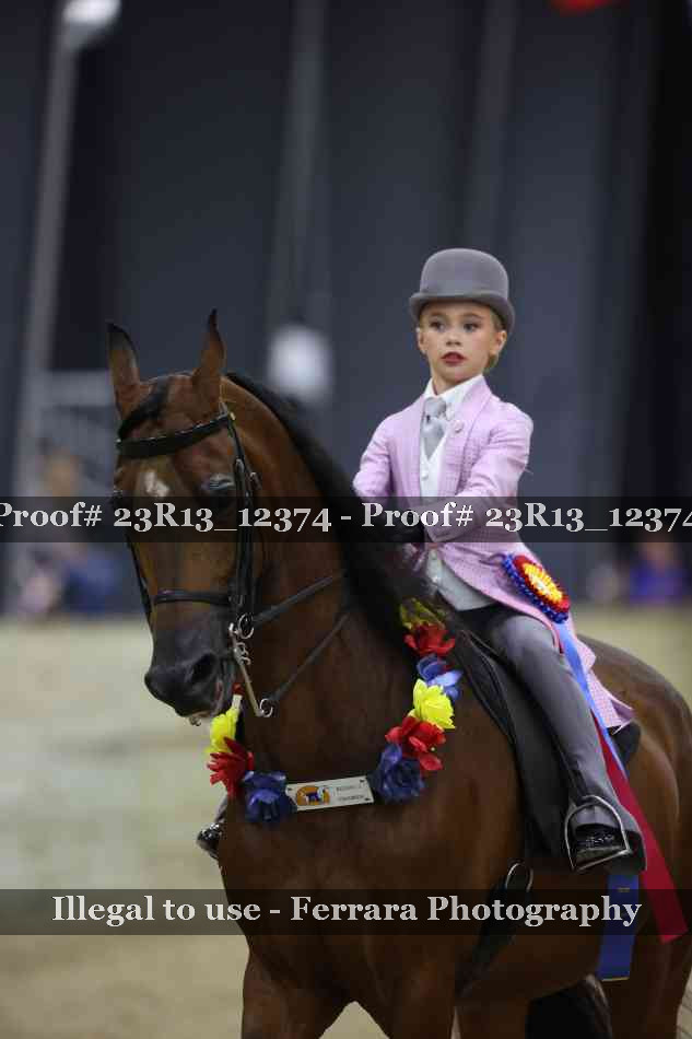 Proof Number 23R13_12374