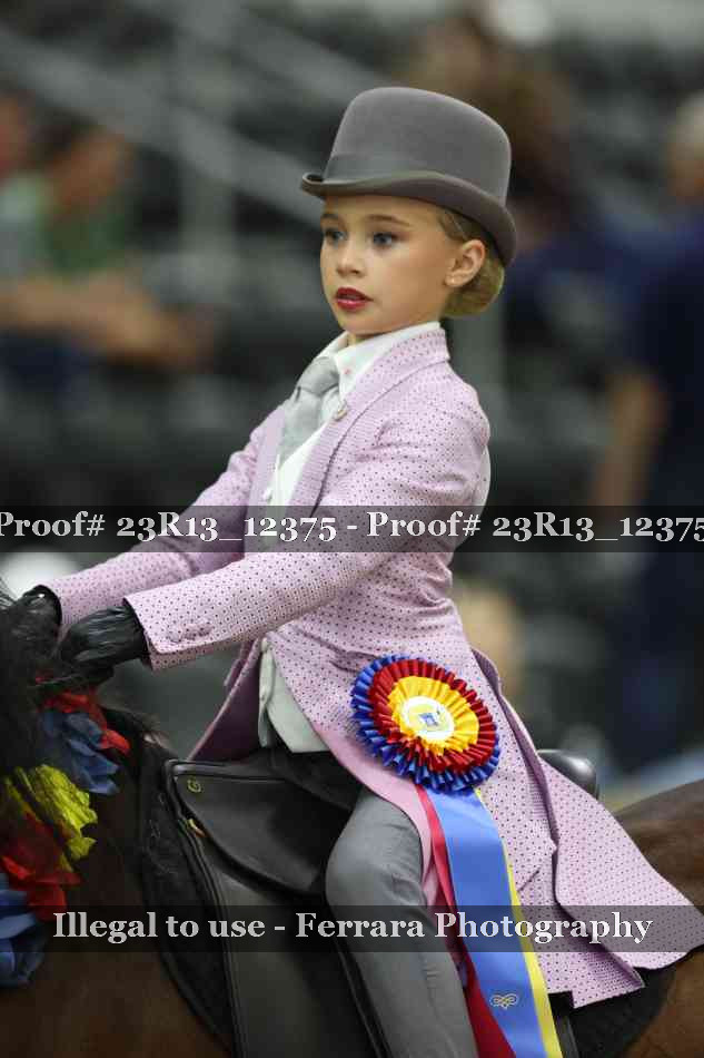 Proof Number 23R13_12375
