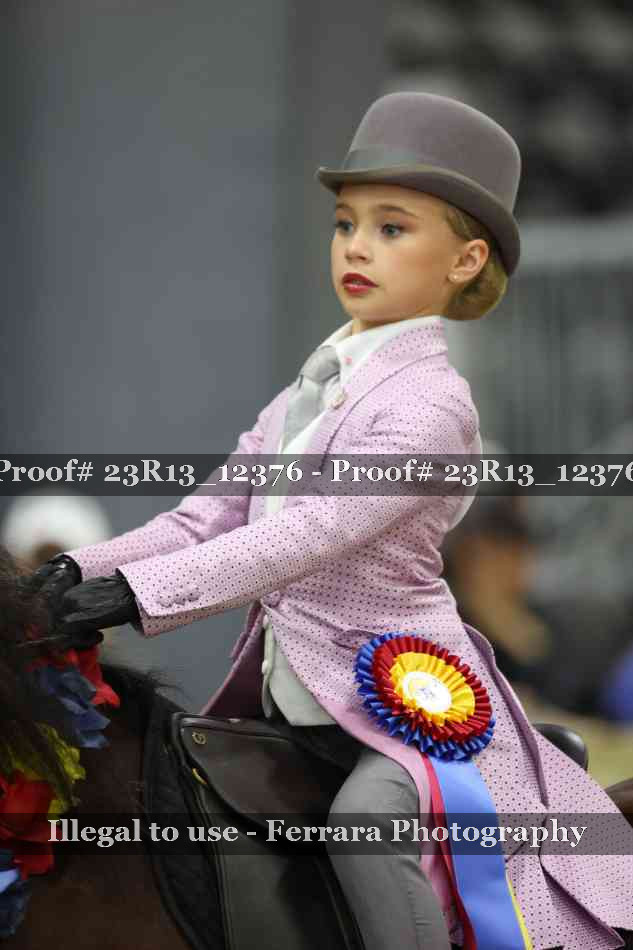 Proof Number 23R13_12376