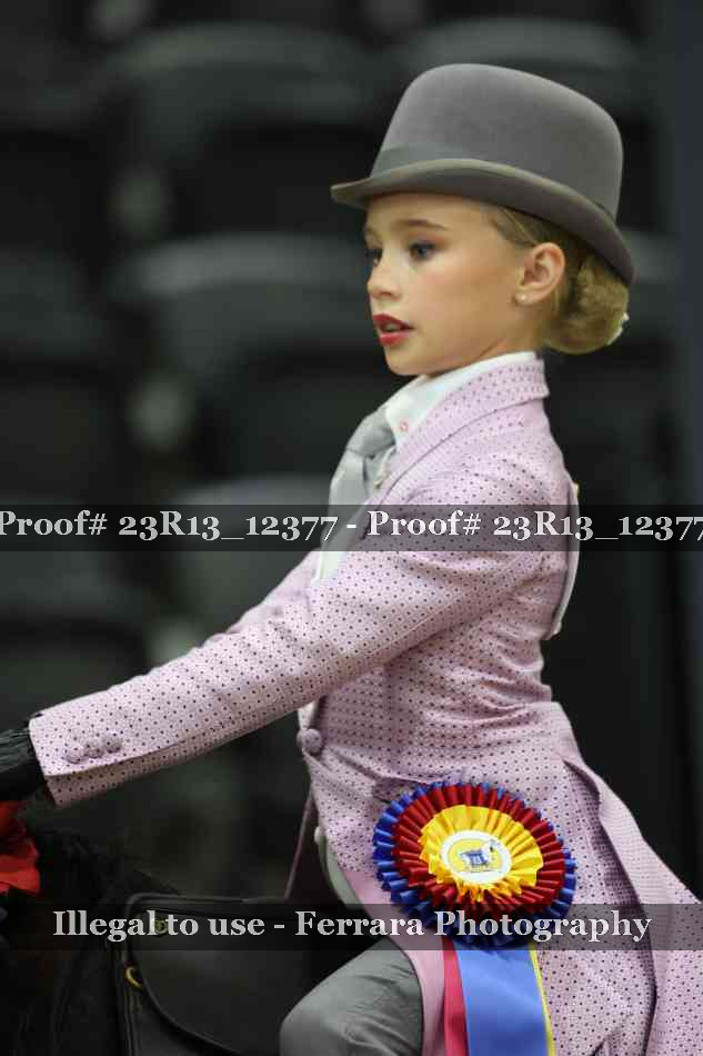 Proof Number 23R13_12377