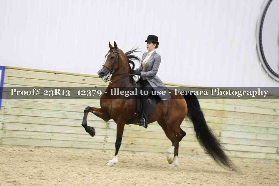 Proof Number 23R13_12379