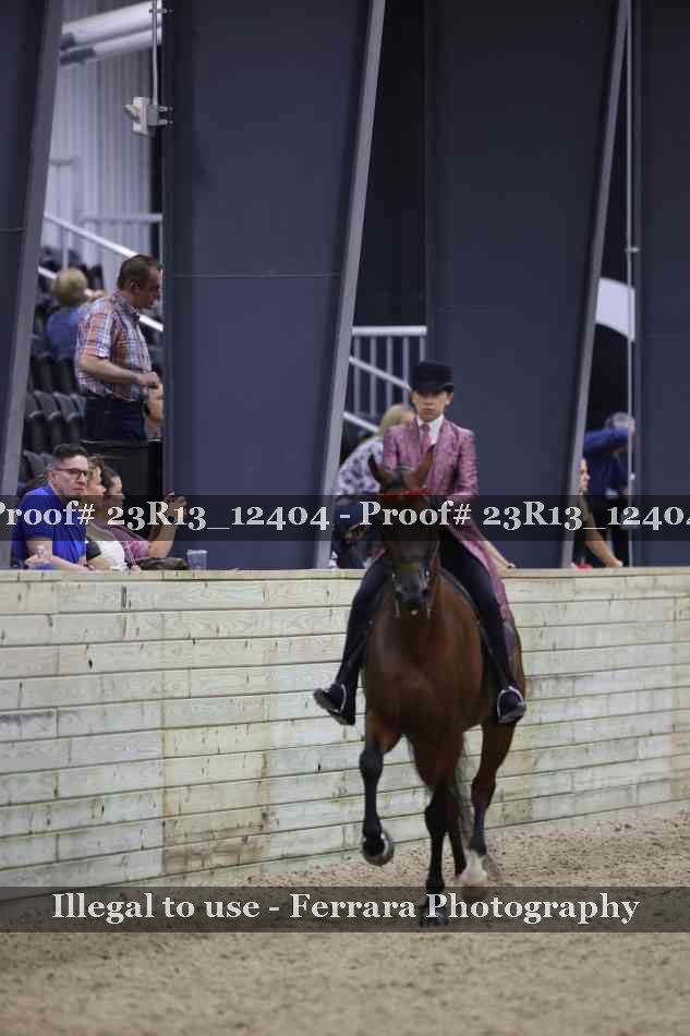 Proof Number 23R13_12404