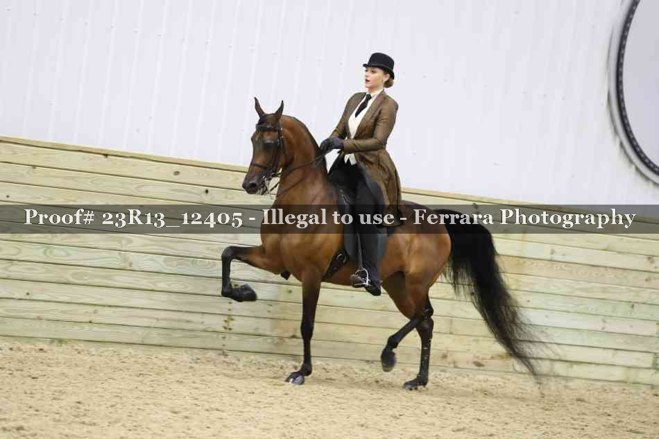 Proof Number 23R13_12405