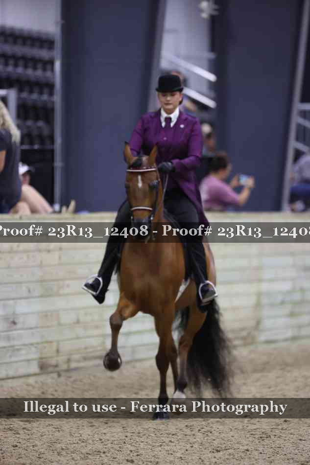 Proof Number 23R13_12408
