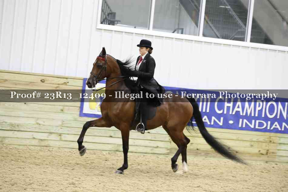 Proof Number 23R13_12409