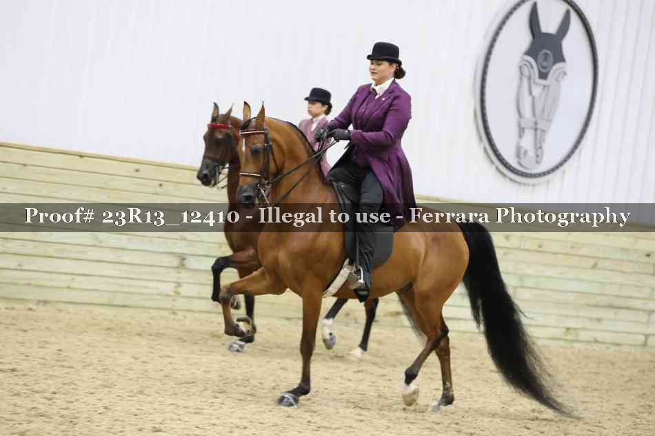 Proof Number 23R13_12410