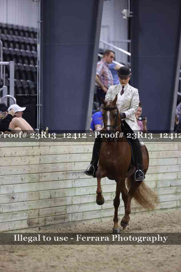 Proof Number 23R13_12412
