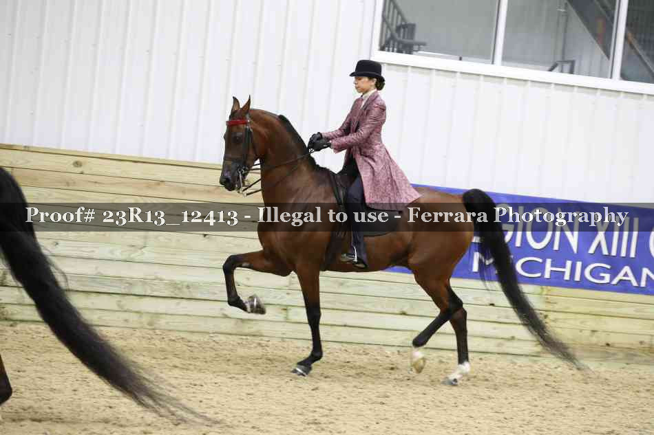 Proof Number 23R13_12413