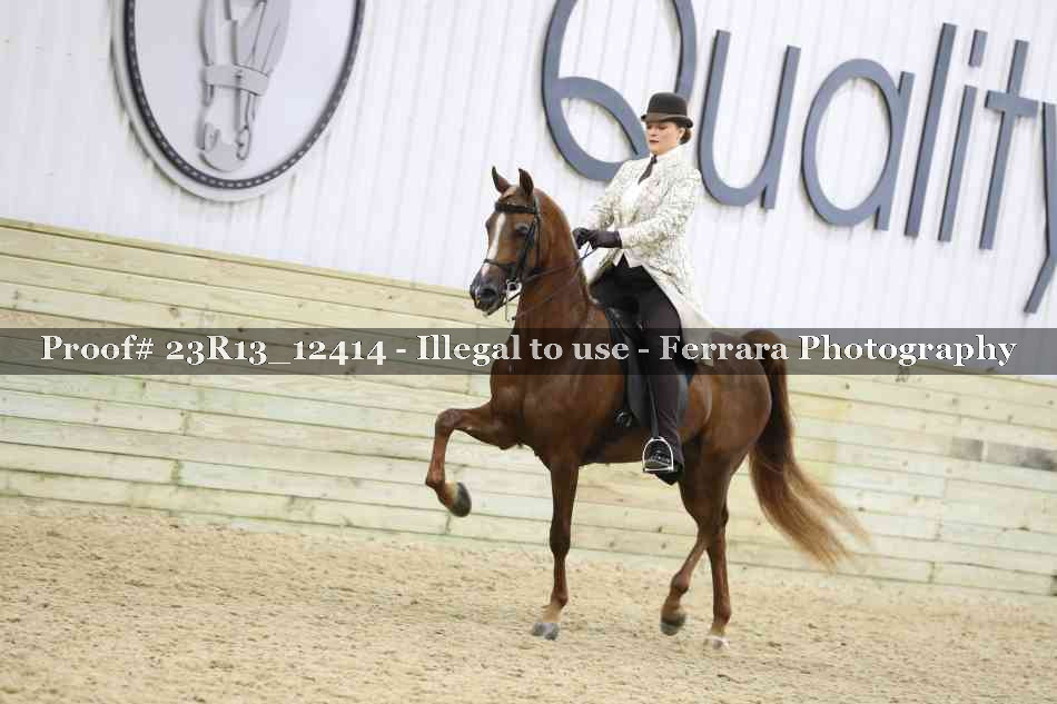 Proof Number 23R13_12414