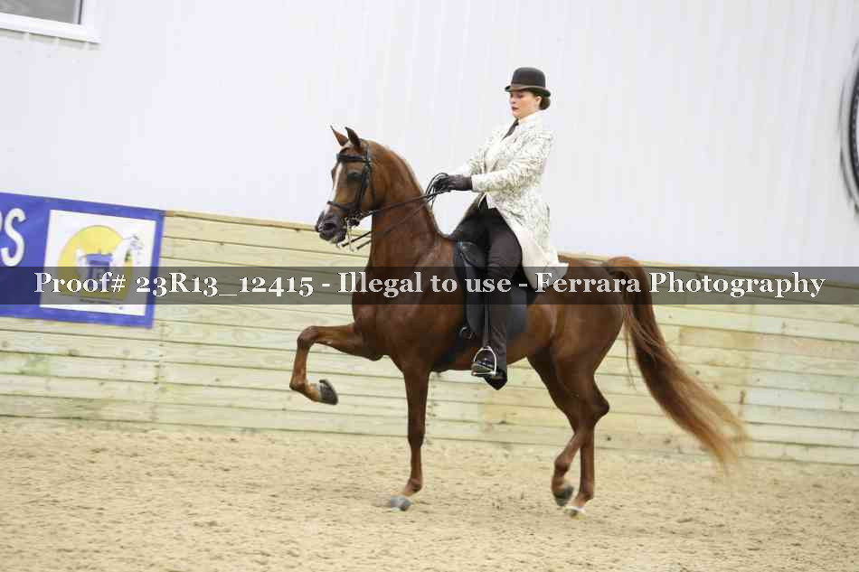 Proof Number 23R13_12415