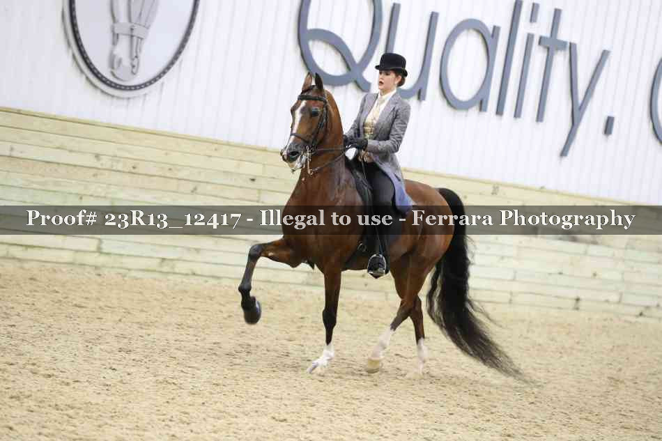 Proof Number 23R13_12417