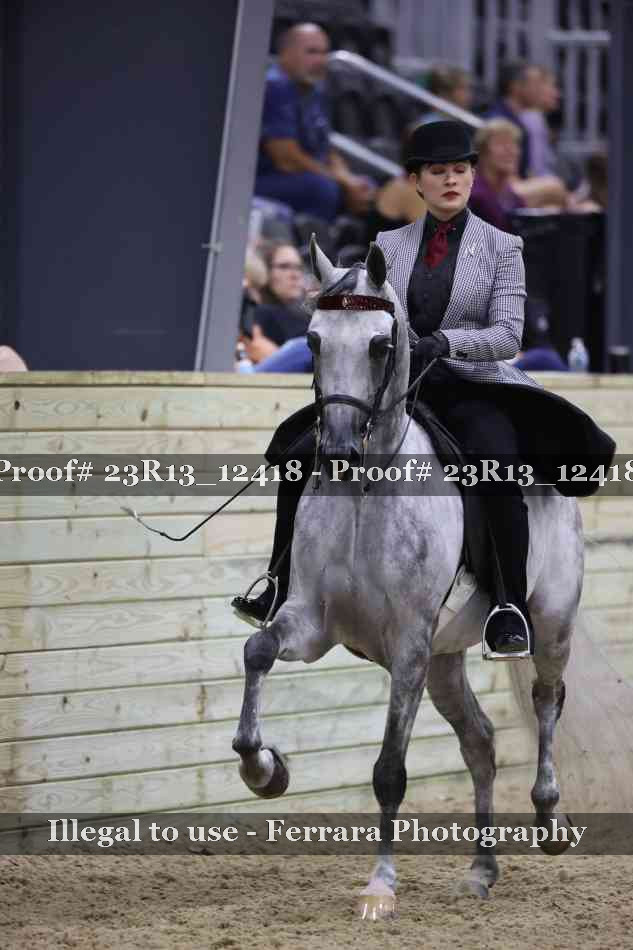 Proof Number 23R13_12418