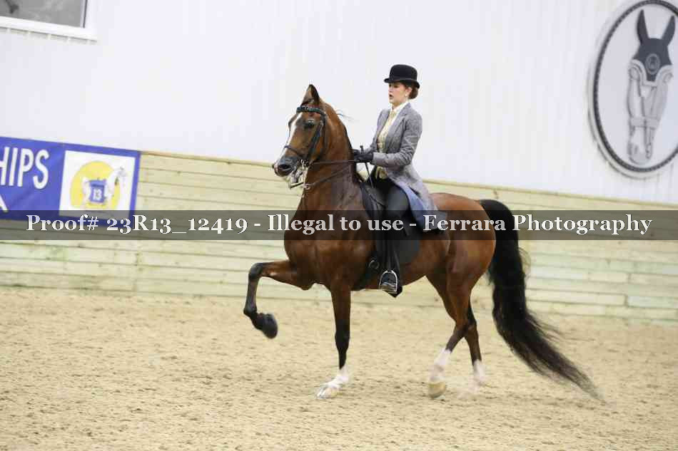Proof Number 23R13_12419