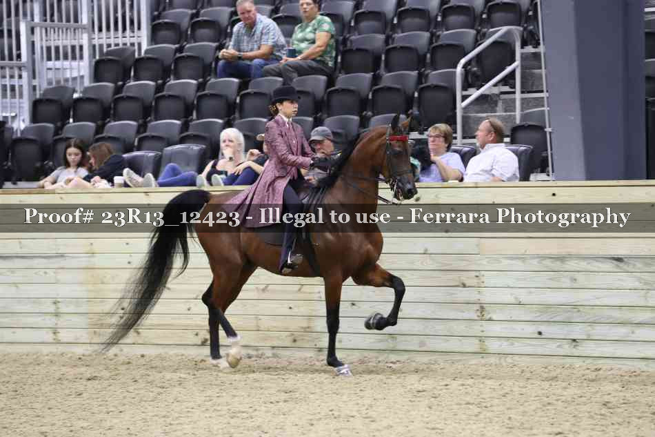 Proof Number 23R13_12423