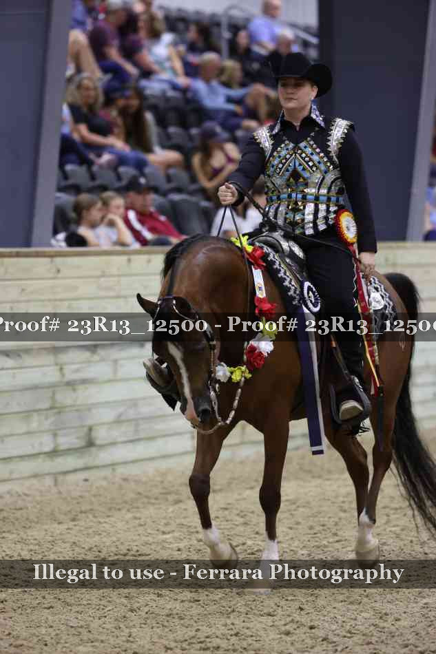 Proof Number 23R13_12500