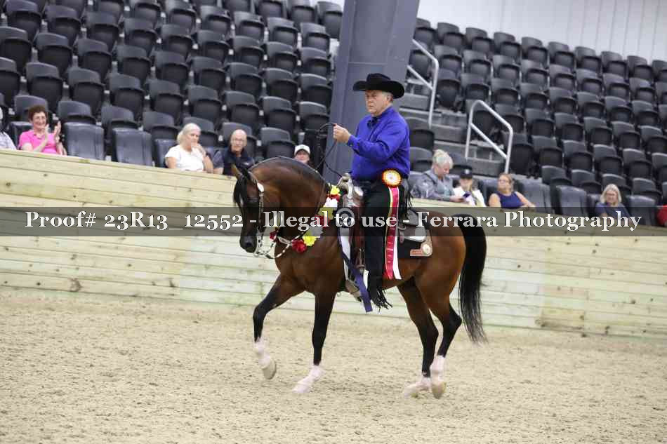 Proof Number 23R13_12552