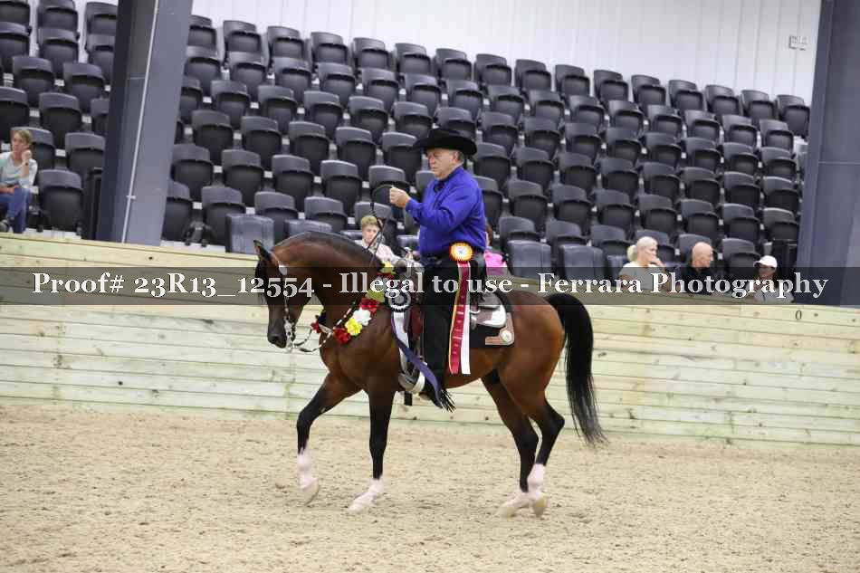 Proof Number 23R13_12554