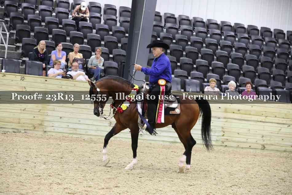 Proof Number 23R13_12555