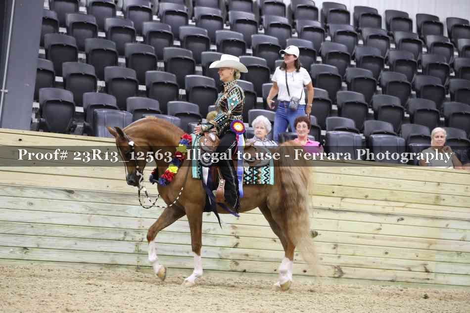 Proof Number 23R13_12563