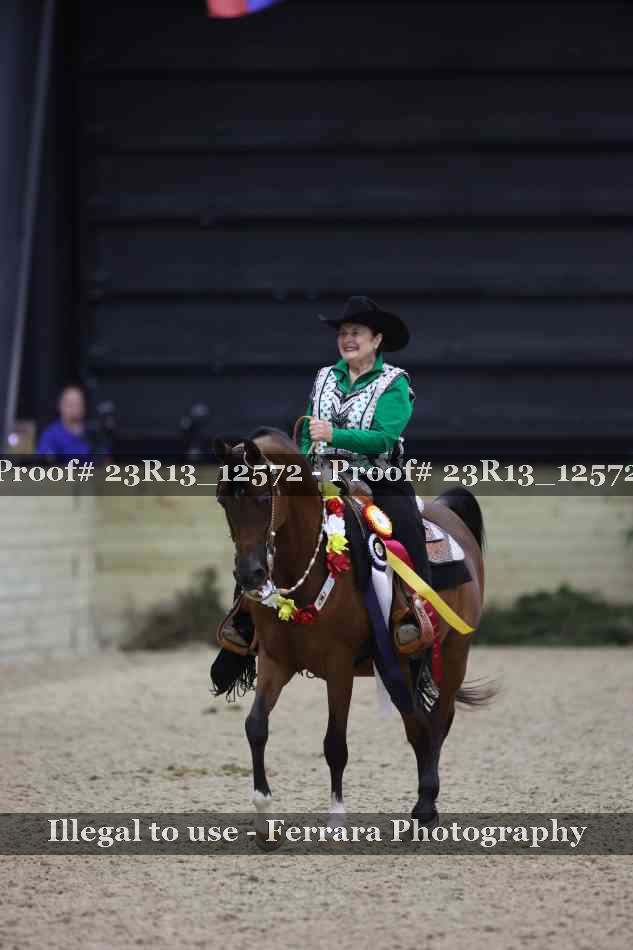 Proof Number 23R13_12572