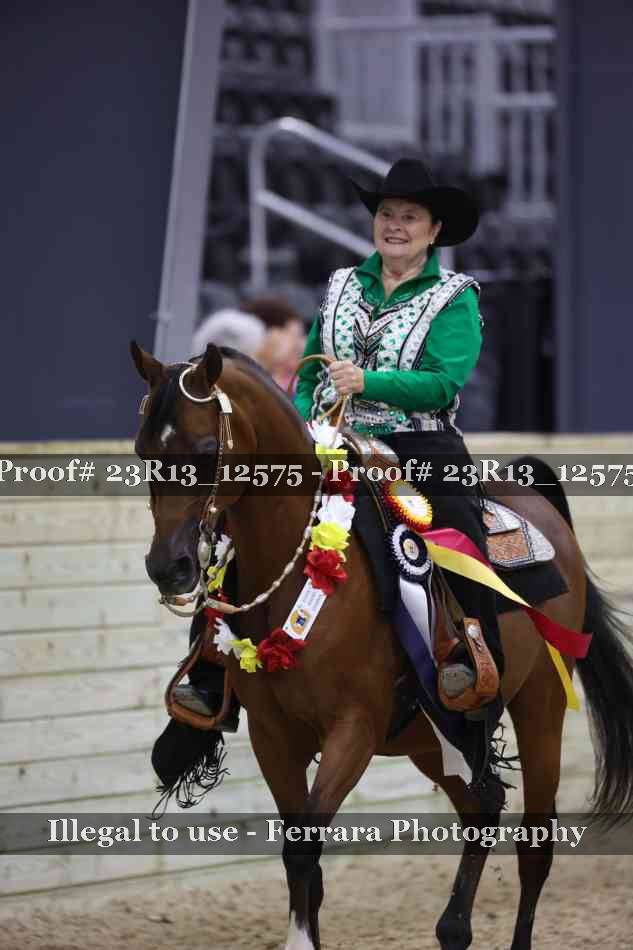 Proof Number 23R13_12575