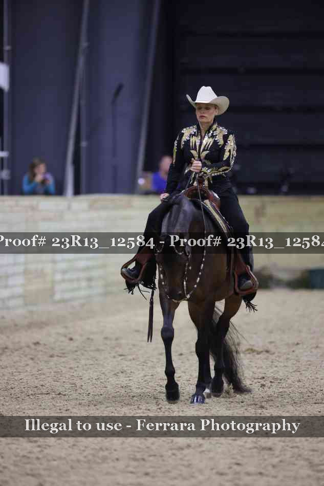 Proof Number 23R13_12584