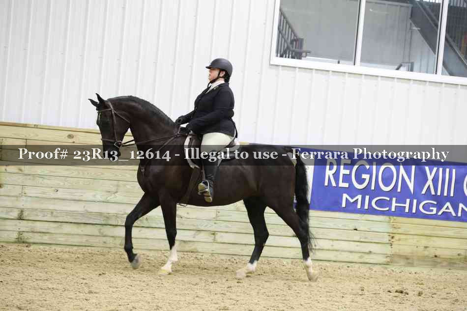 Proof Number 23R13_12614