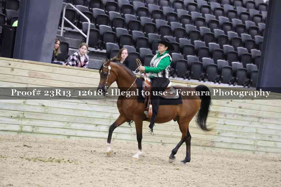 Proof Number 23R13_12618