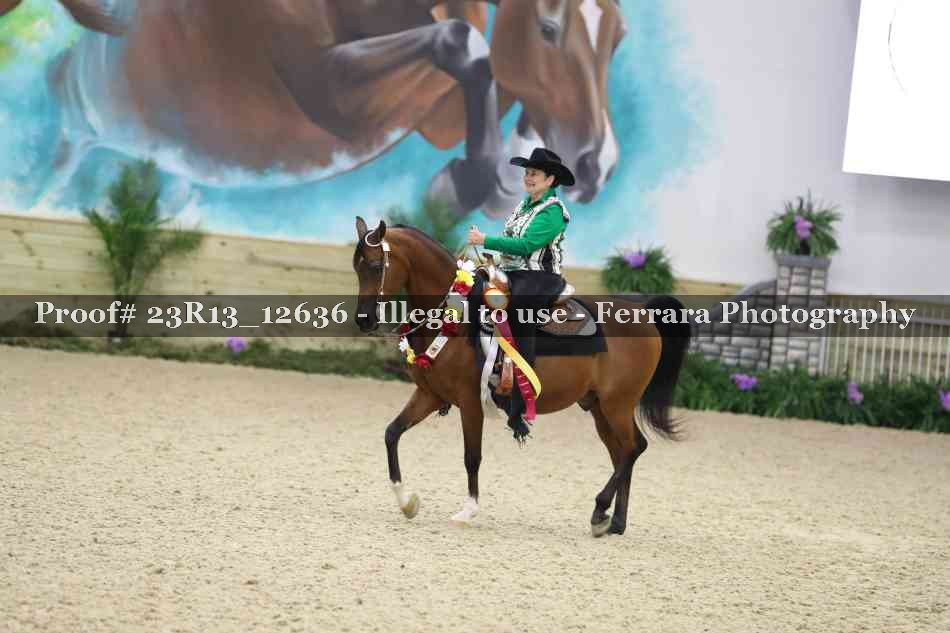 Proof Number 23R13_12636