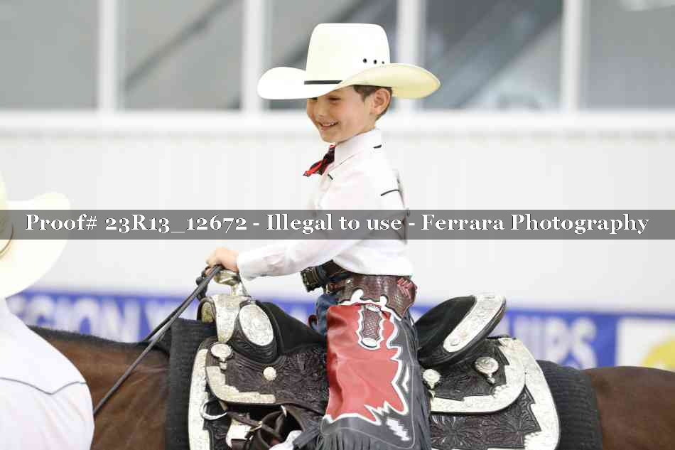 Proof Number 23R13_12672