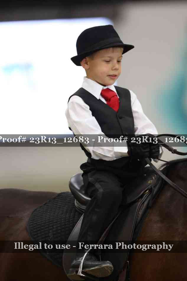 Proof Number 23R13_12683
