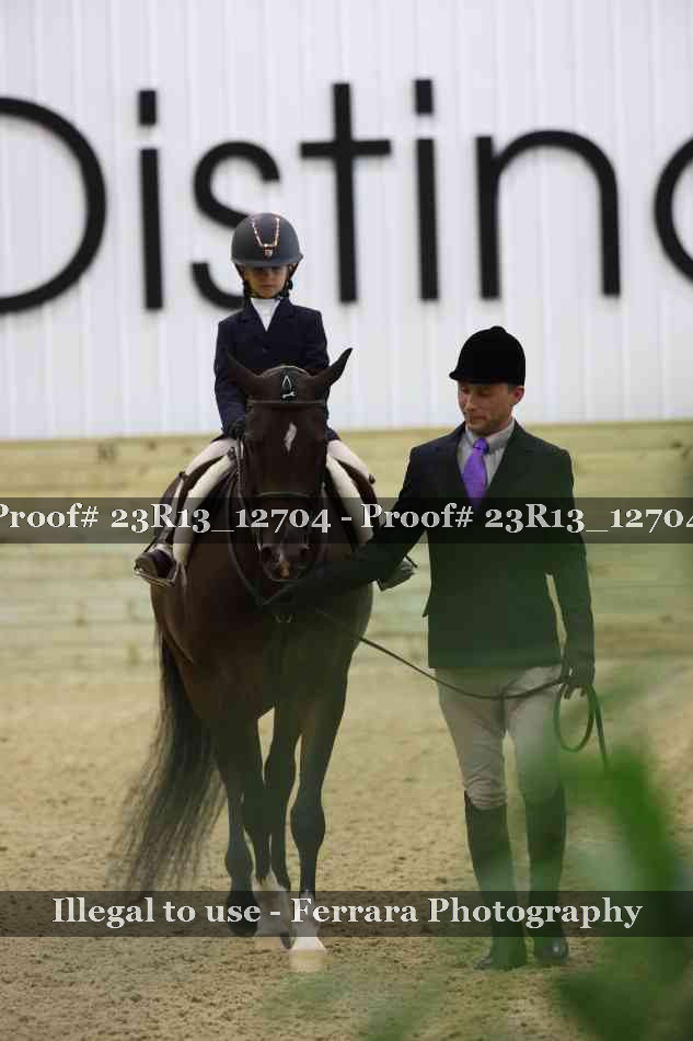 Proof Number 23R13_12704
