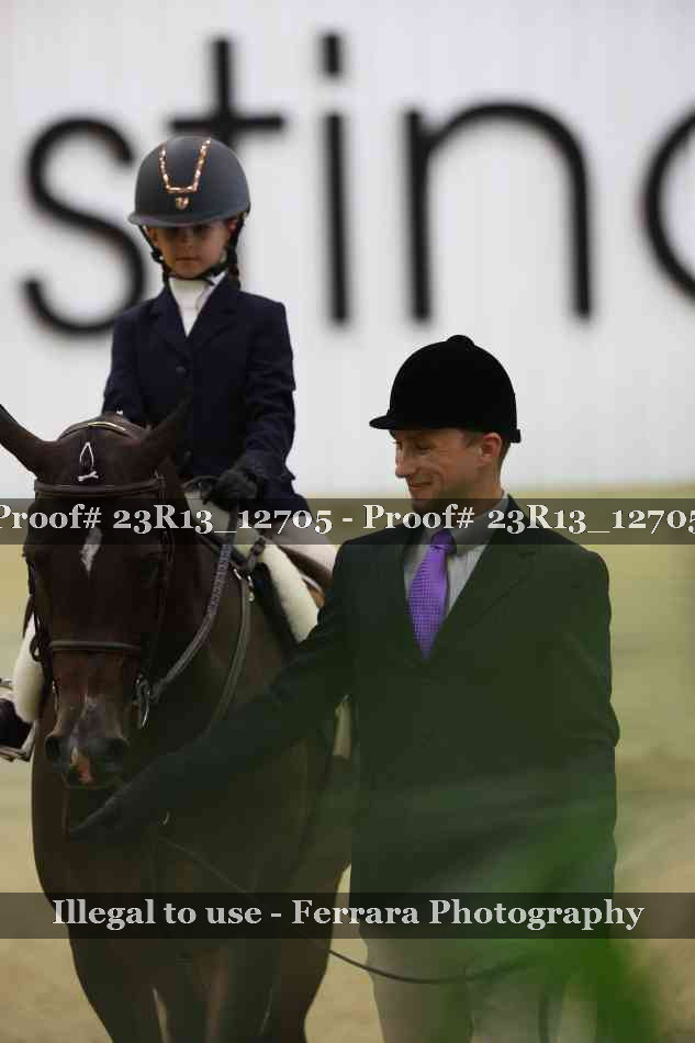 Proof Number 23R13_12705