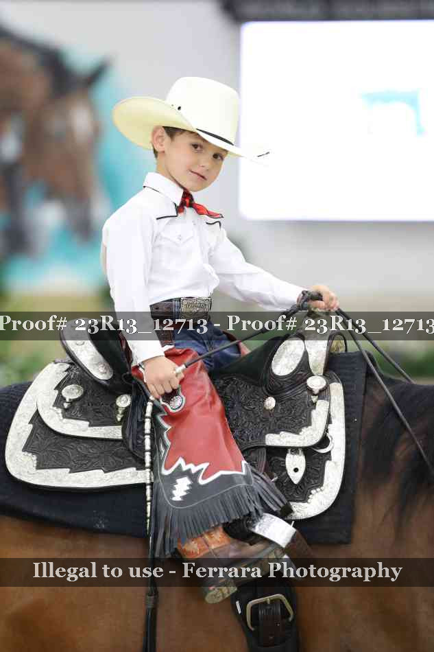 Proof Number 23R13_12713