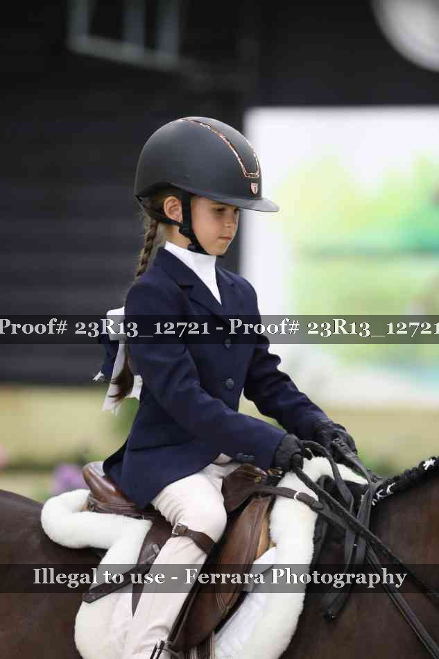 Proof Number 23R13_12721