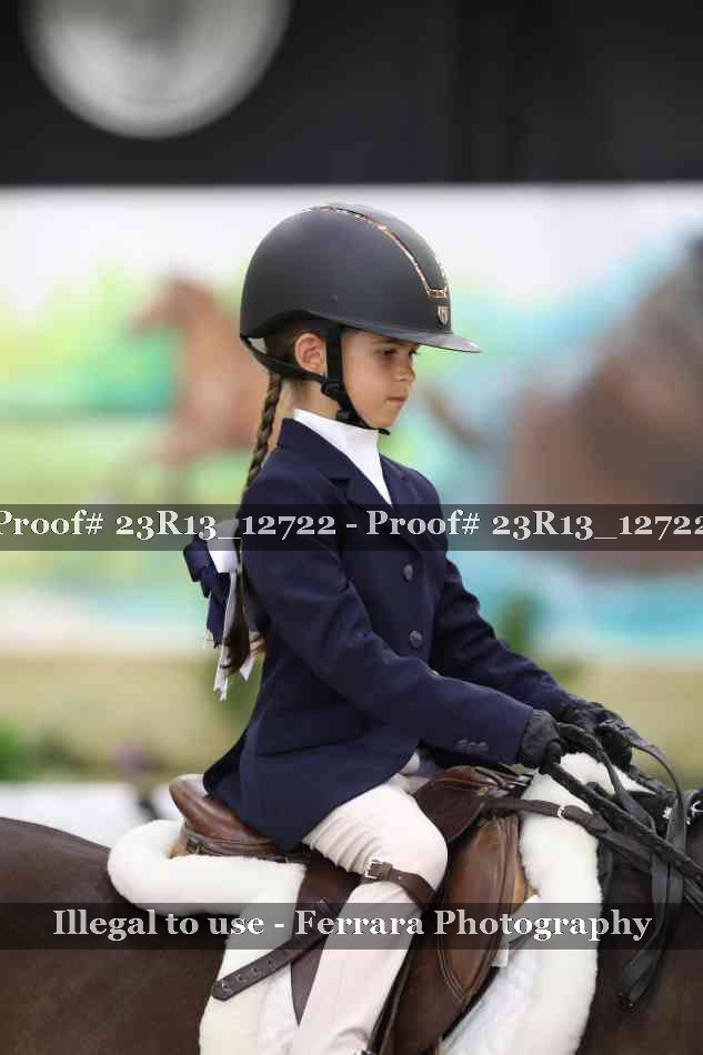 Proof Number 23R13_12722