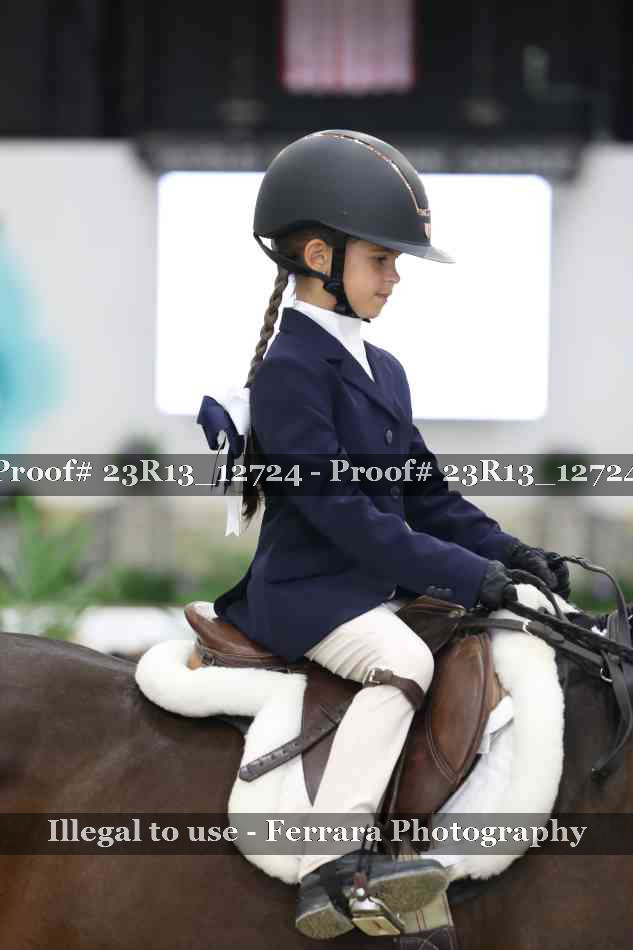 Proof Number 23R13_12724