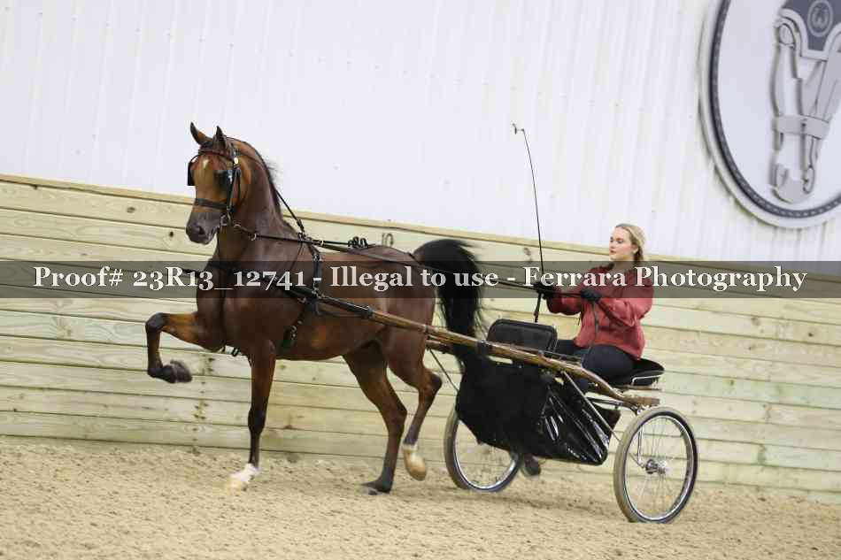 Proof Number 23R13_12741