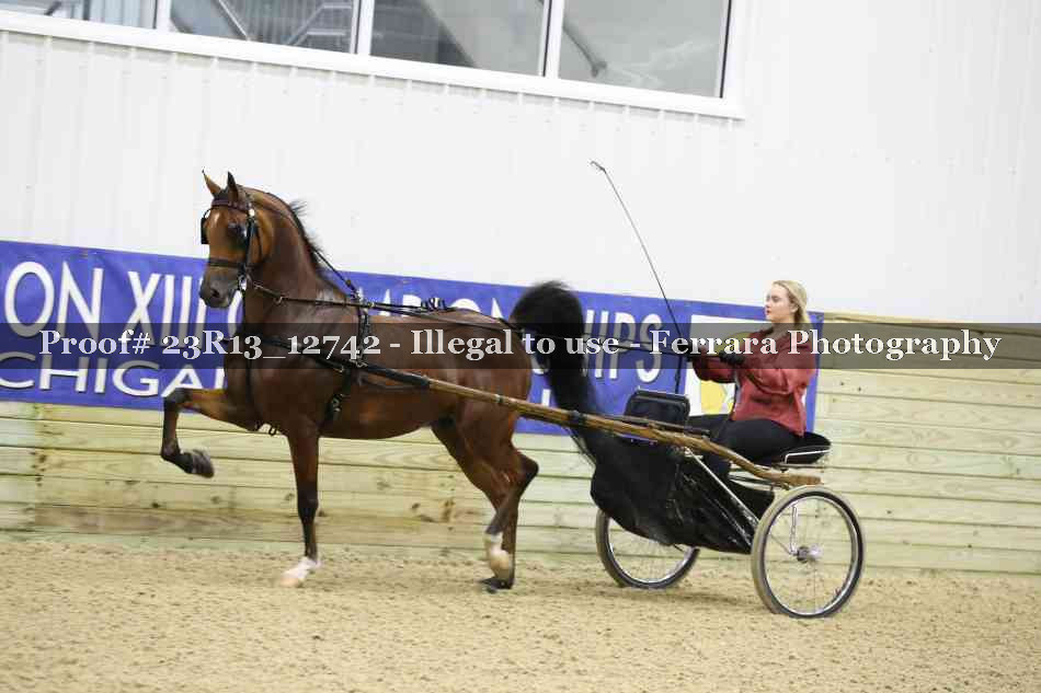 Proof Number 23R13_12742