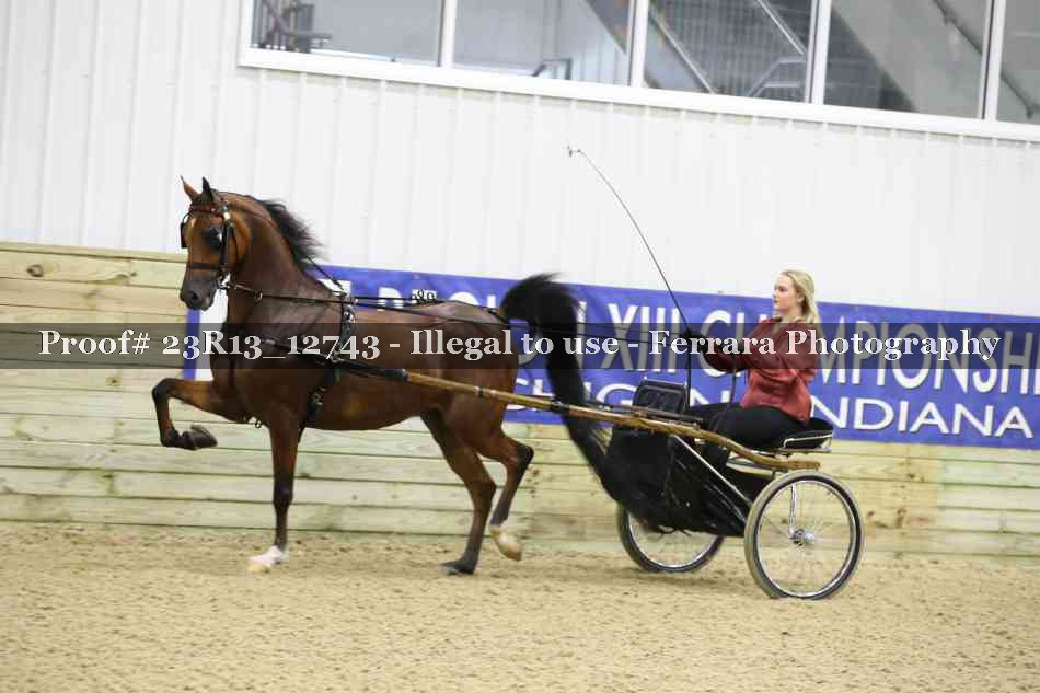 Proof Number 23R13_12743