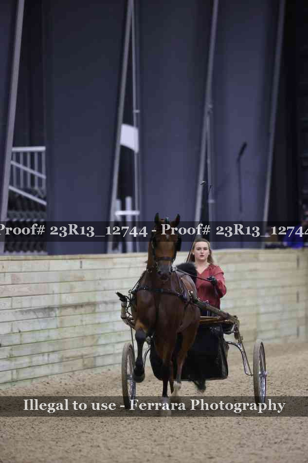 Proof Number 23R13_12744