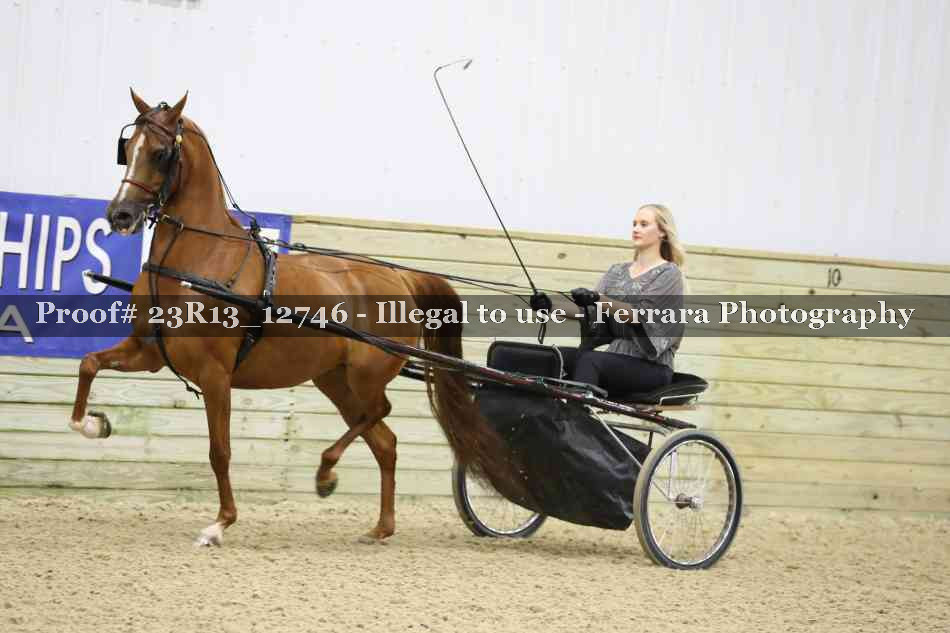 Proof Number 23R13_12746