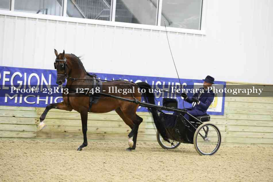 Proof Number 23R13_12748