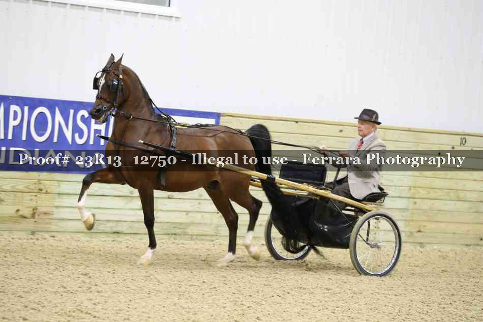 Proof Number 23R13_12750